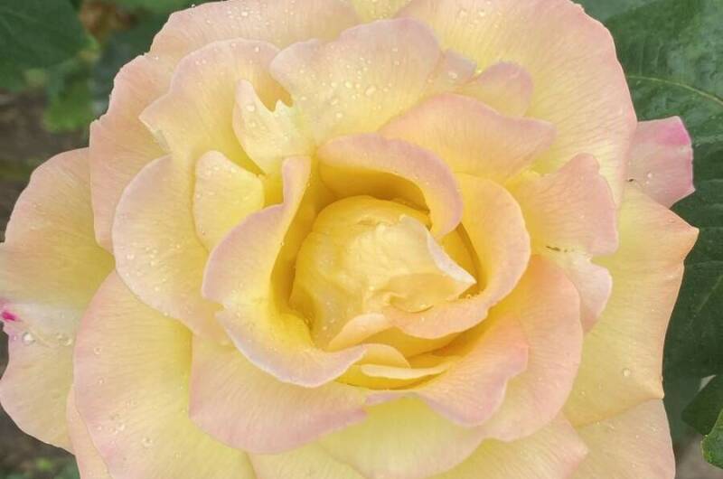 Гостевой дом «Южные ночи»