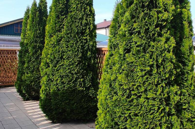 Мини-гостиница «Морское небо»