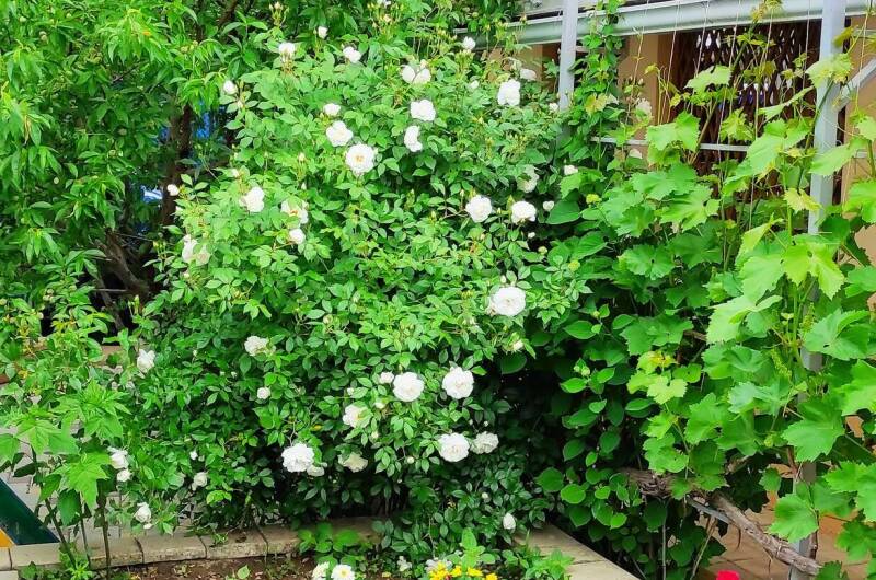 Мини-гостиница «Морское небо»