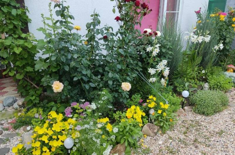 Гостевой дом «У моря»