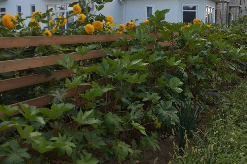 Частный дом «Александрит»