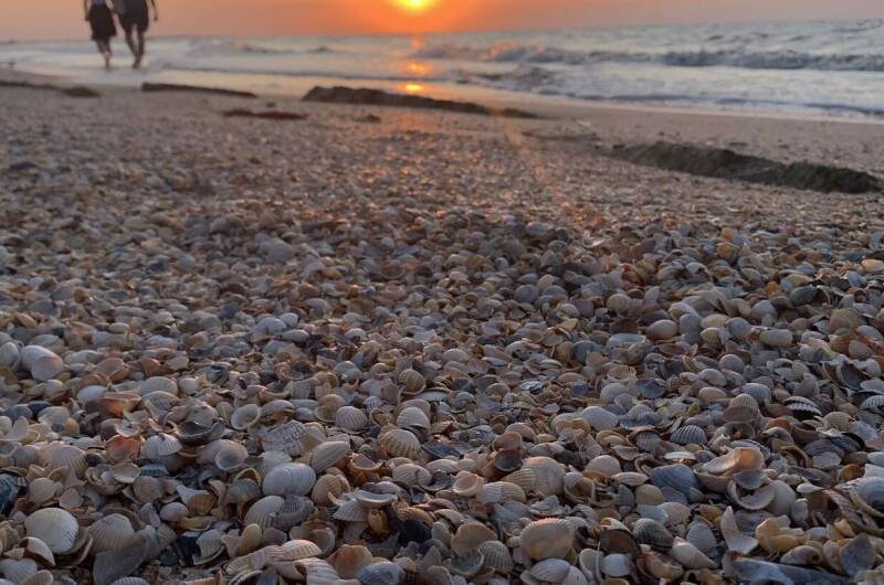 Гостевой дом «Алана»