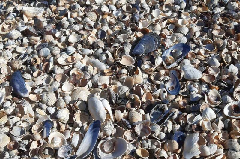 Частный сектор «Коса Должанская»