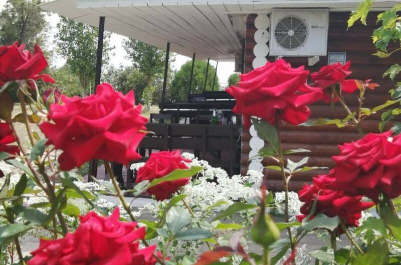 База отдыха «Меотида»