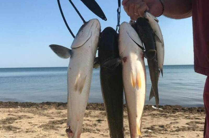 Гостевой Дом «Мэри-Тель»