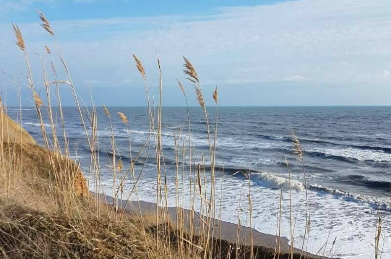 Гостевой Дом «Мэри-Тель»