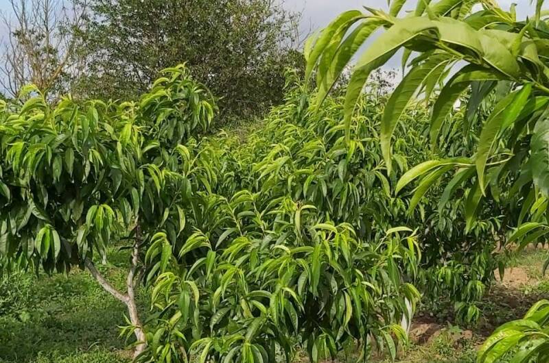 Гостевой дом «У Марины»