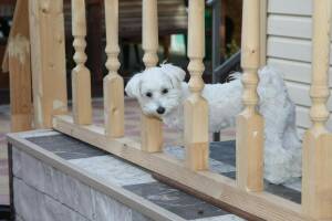 Изображение Гостевой дом «Добрый хозяин» #5