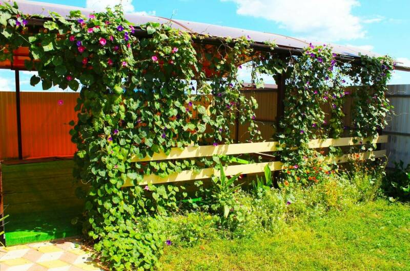 Гостевой дом «Простоквашино на Азове»