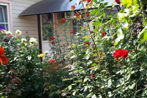 Изображение Дом под ключ «У Татьяны» #4