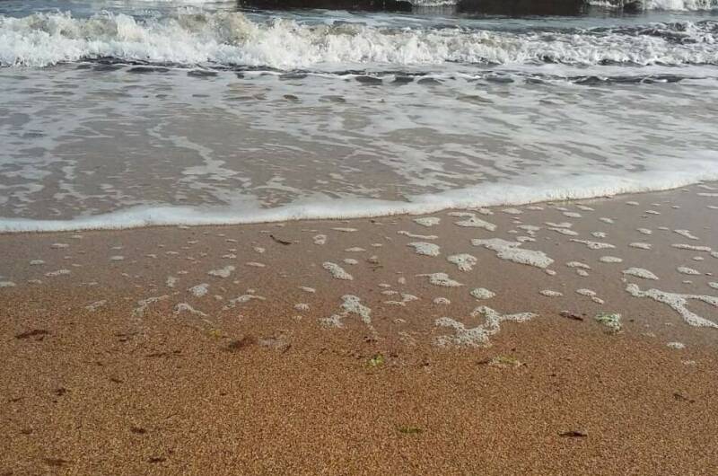 Частный сектор «Спартак»