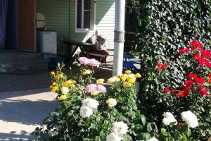 Изображение Домик на Одесской (на 4 человека) #1