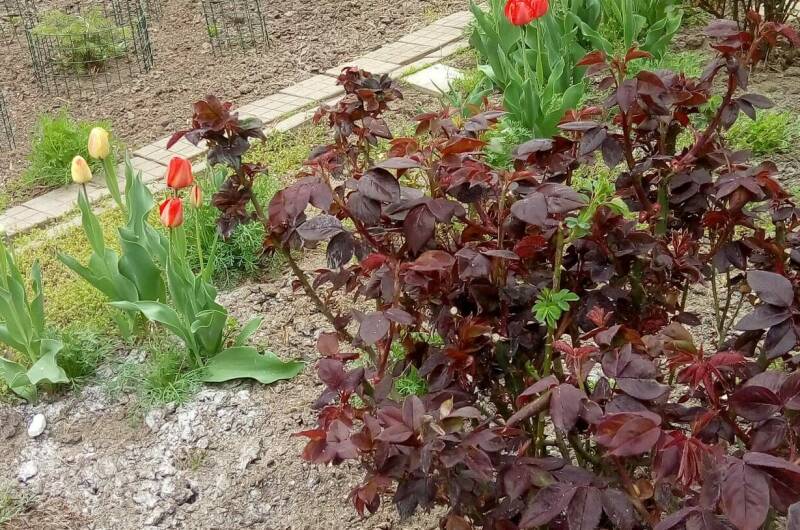 Дом под ключ на Павлова