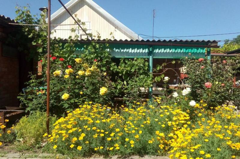 Дом под ключ на Павлова