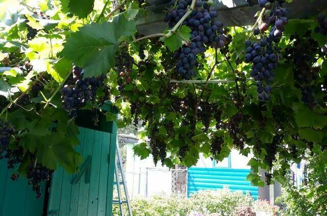 Дом под ключ