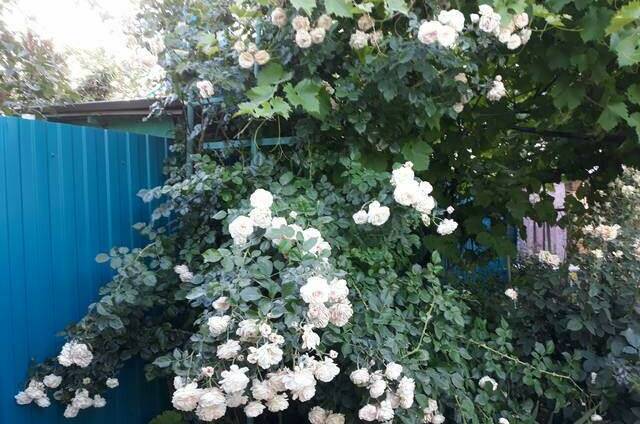 Дом под ключ