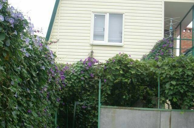 Дом под ключ