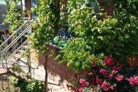 Гостевой дом «Райский уголок»