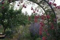 Гостевой дом «Райский уголок»