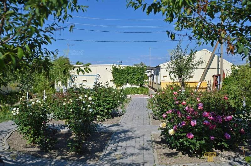 Дом отдыха «Дорожник»