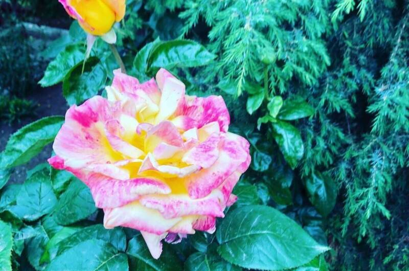 Гостевой дом «На Шмидта»