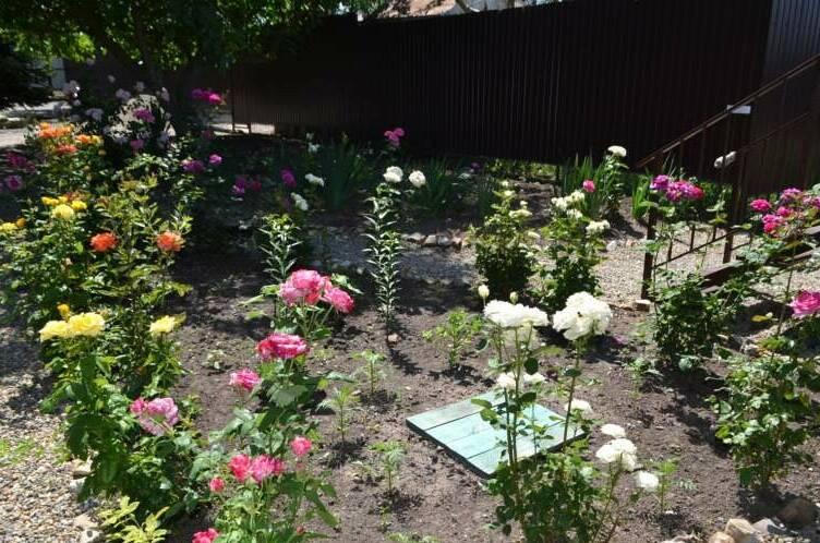 Гостевой дом «White»