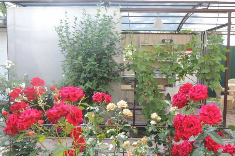 Гостевой дом «Relax»