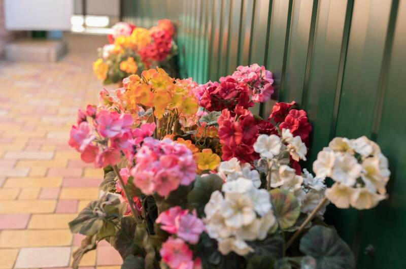 Гостевой дом «Надежда»