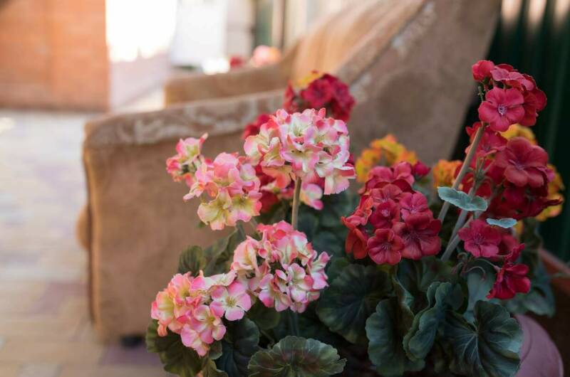 Гостевой дом «Надежда»