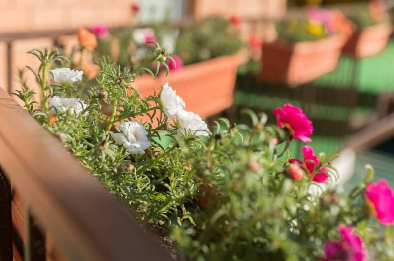 Гостевой дом «Надежда»