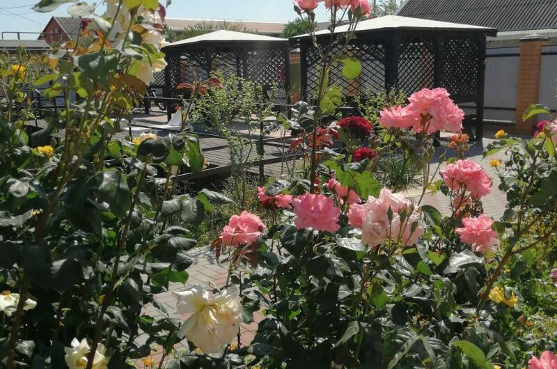 Гостевой дом «Лазурный»