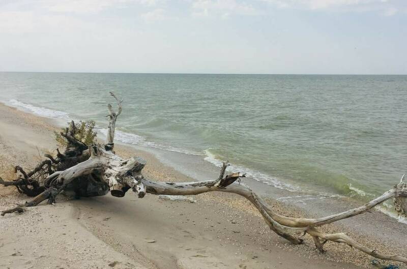 Гостевой дом «Морской»