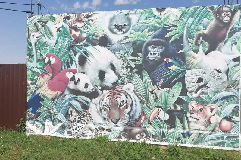 Комплекс домиков «Jungle Park»