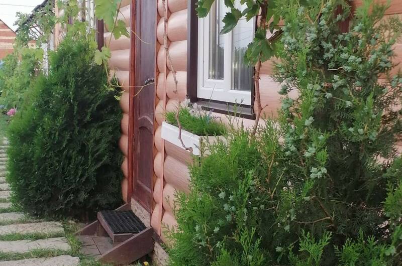 Комплекс домиков «Jungle Park»