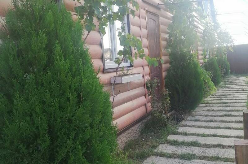 Комплекс домиков «Jungle Park»