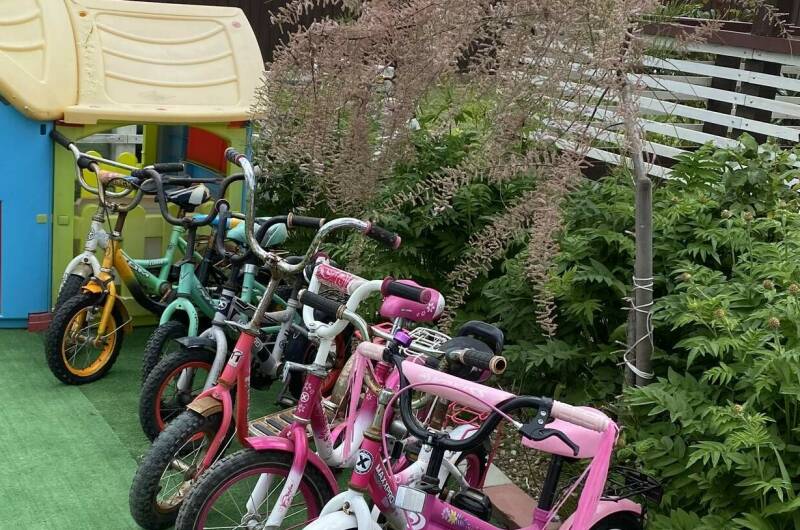 Гостевой дом «Белый Кот»