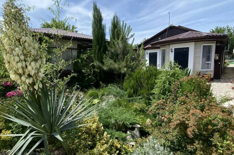 Гостевой дом «Белый Кот»