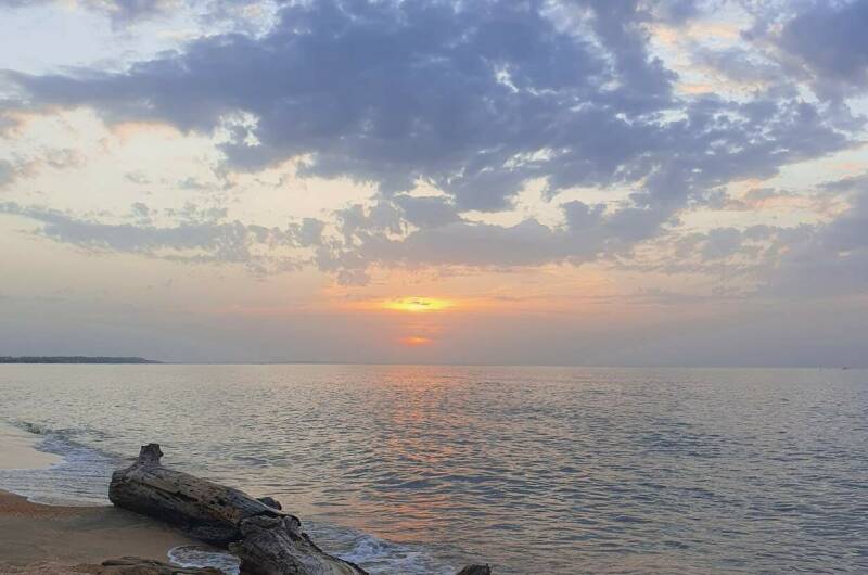 Коттедж «Альбатрос»