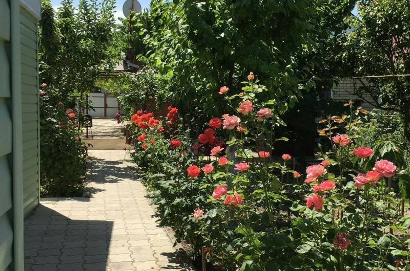 Гостевой дом «Зелёный уголок»