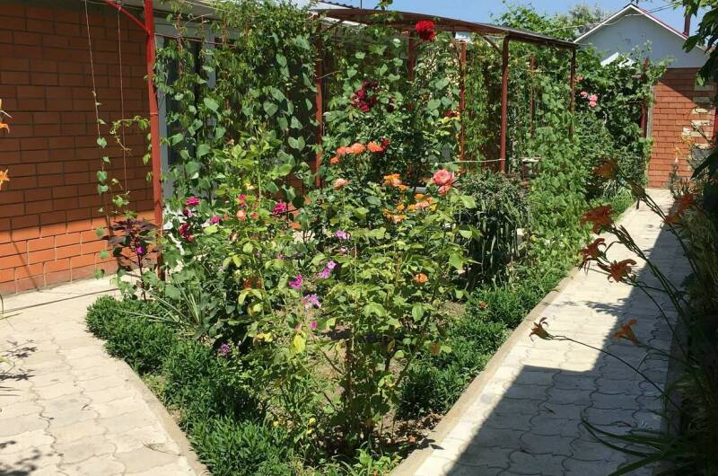 Гостевой дом «Зелёный уголок»