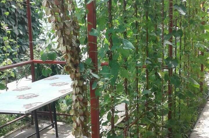 Гостевой дом «Зелёный уголок»