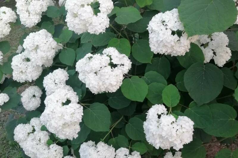 Частный сектор «Белорусский домик»