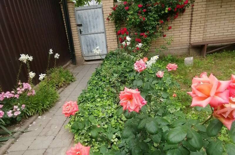 Частный сектор «Белорусский домик»