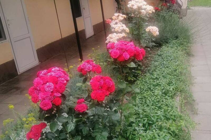 Частный сектор «Белорусский домик»