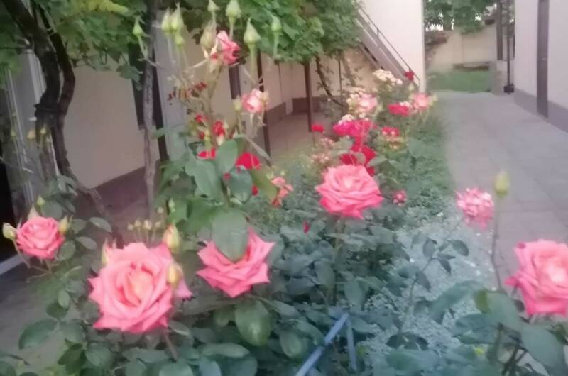 Частный сектор «Белорусский домик»