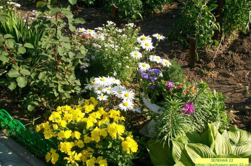 Частный сектор «Зеленая 22»