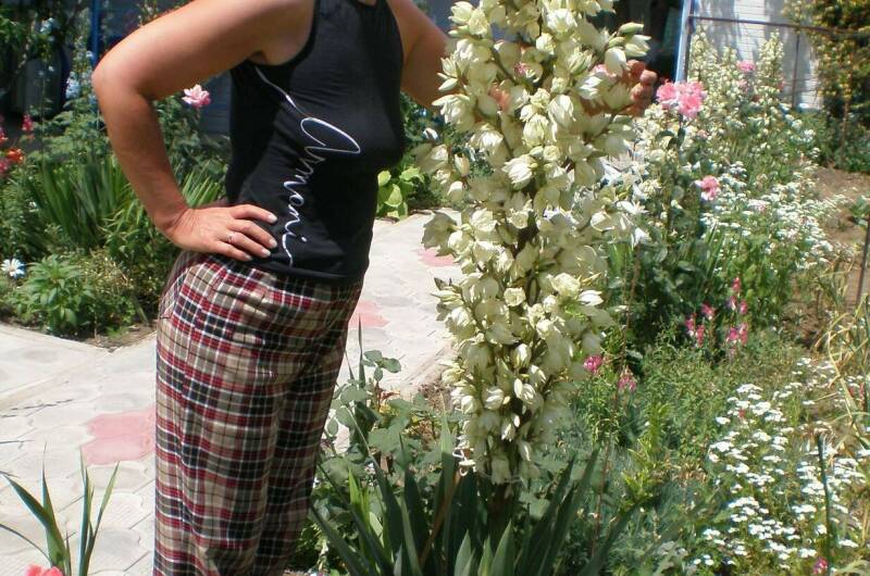 Частный сектор «Зеленая 22»