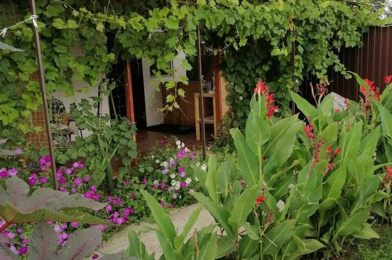 Гостевой дом «Азовский бархат»