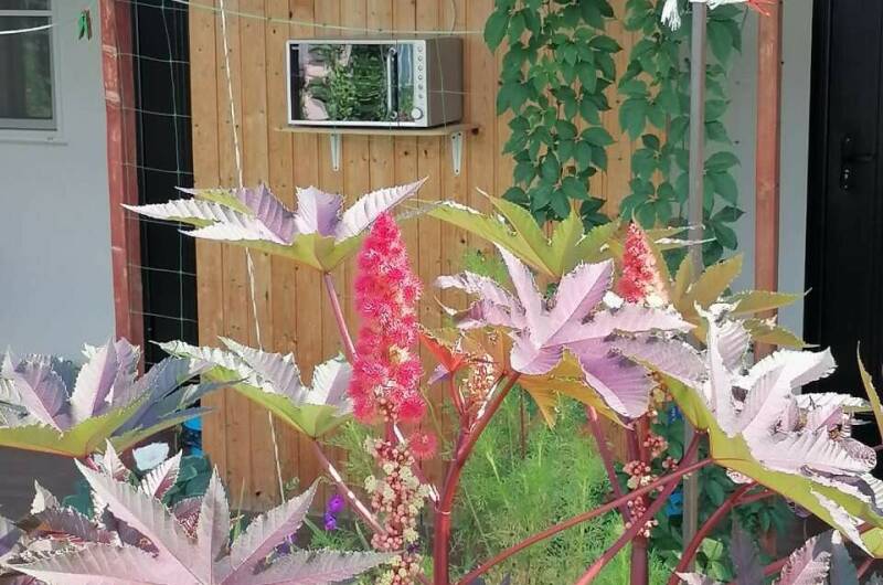 Гостевой дом «Азовский бархат»