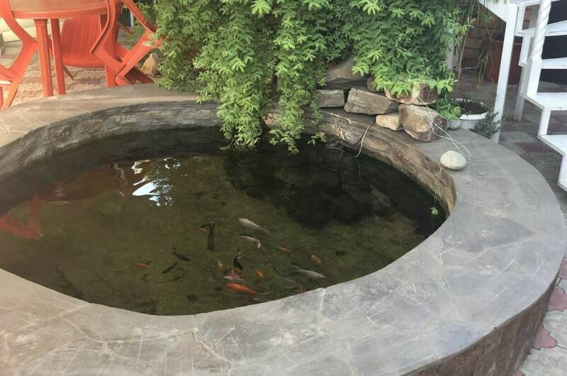 Частный сектор на Школьной 20